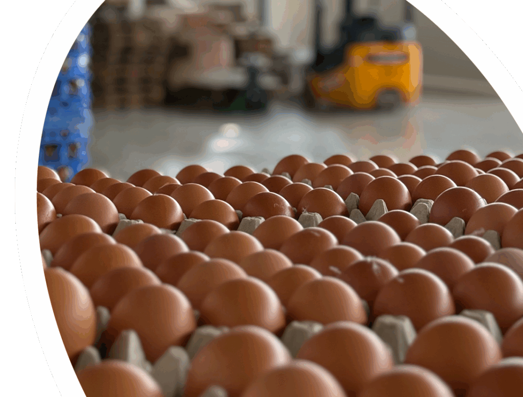 foto-azienda-filiera